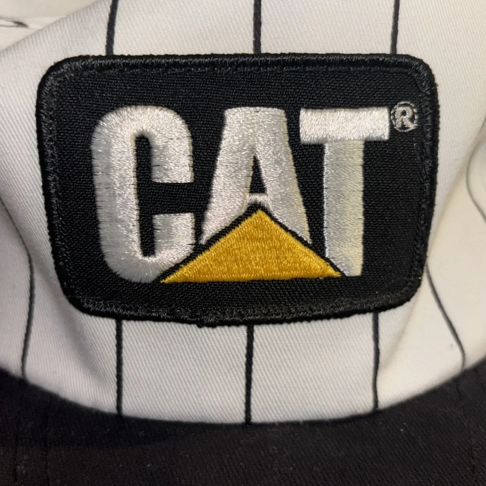 Cat great like